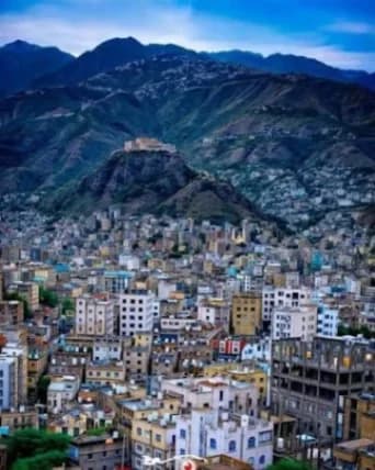 تعز